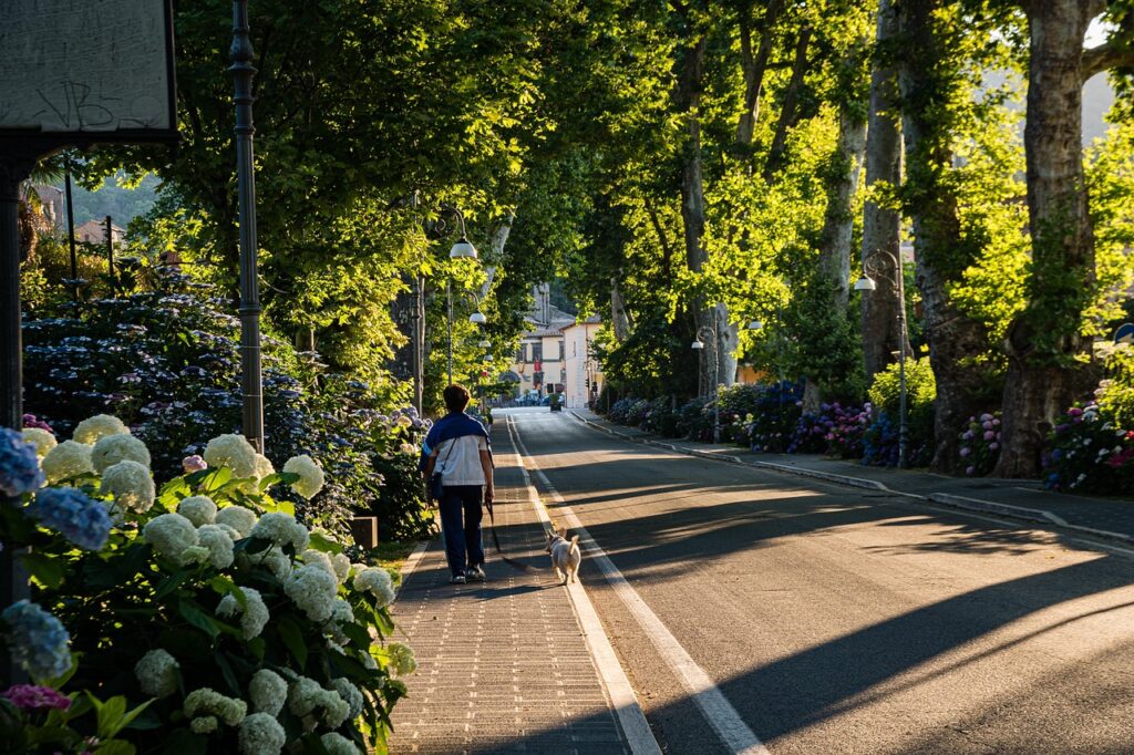 fiori primaverili per le strade di Granada con luce solare