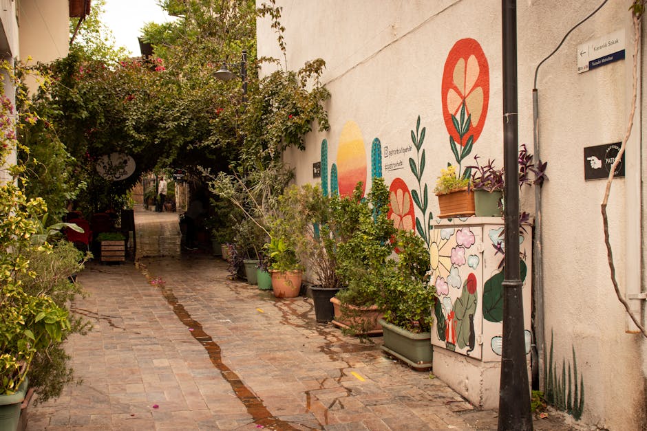 vicolo nel Realejo con murales colorati e piante