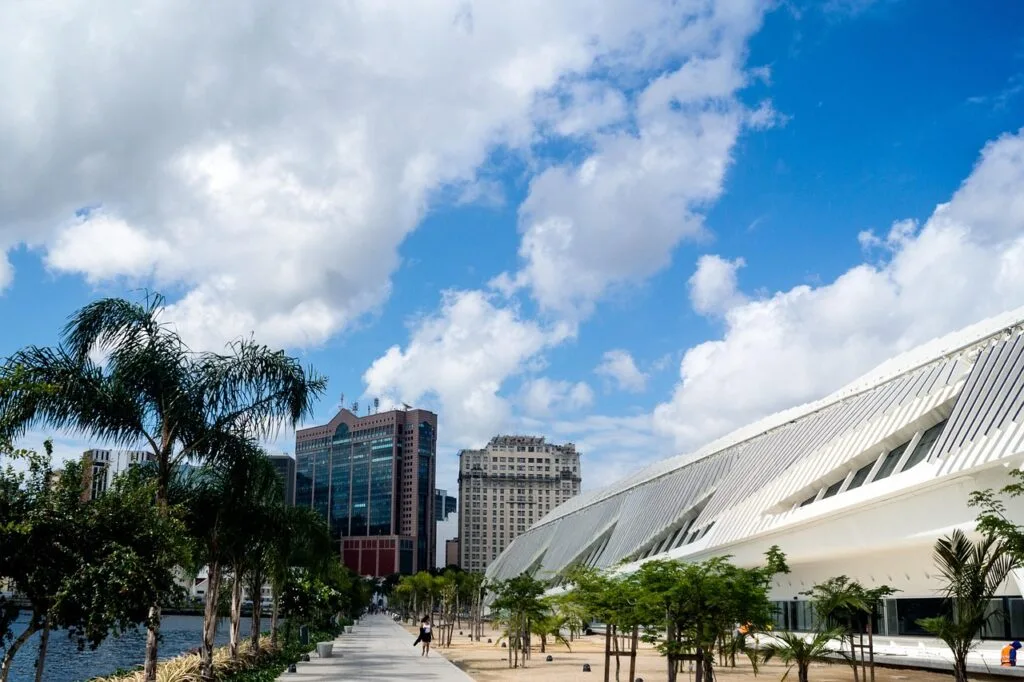 Waterfront promenade lined with palm trees beside a modern white museum