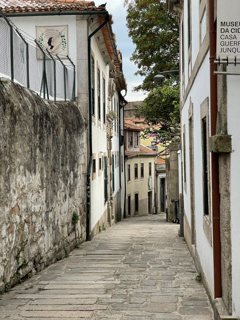 Narrow cobbled alleyway between historic houses in central Porto