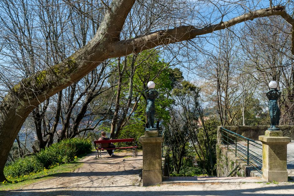 Shaded park path with lamplight statues and bench overlooking Porto