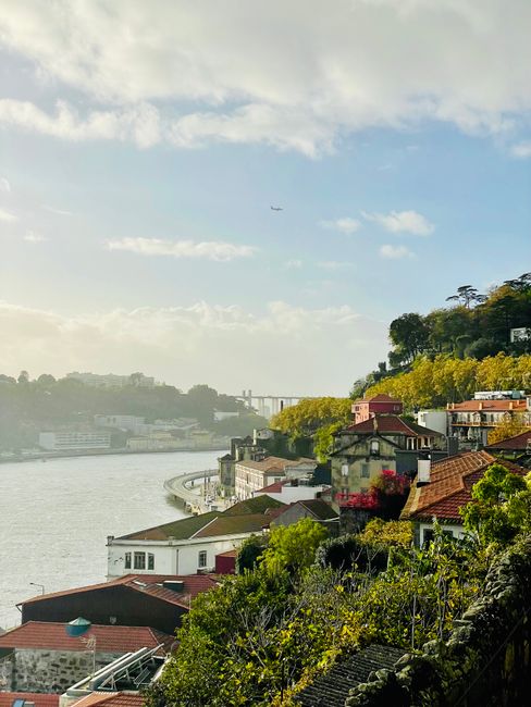 Riverside houses and terraced gardens along the Douro in Porto
