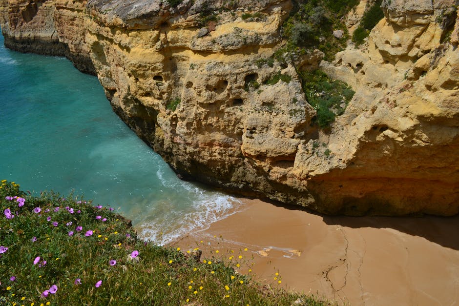 Algarve wiosną — dzikie kwiaty na klifach
