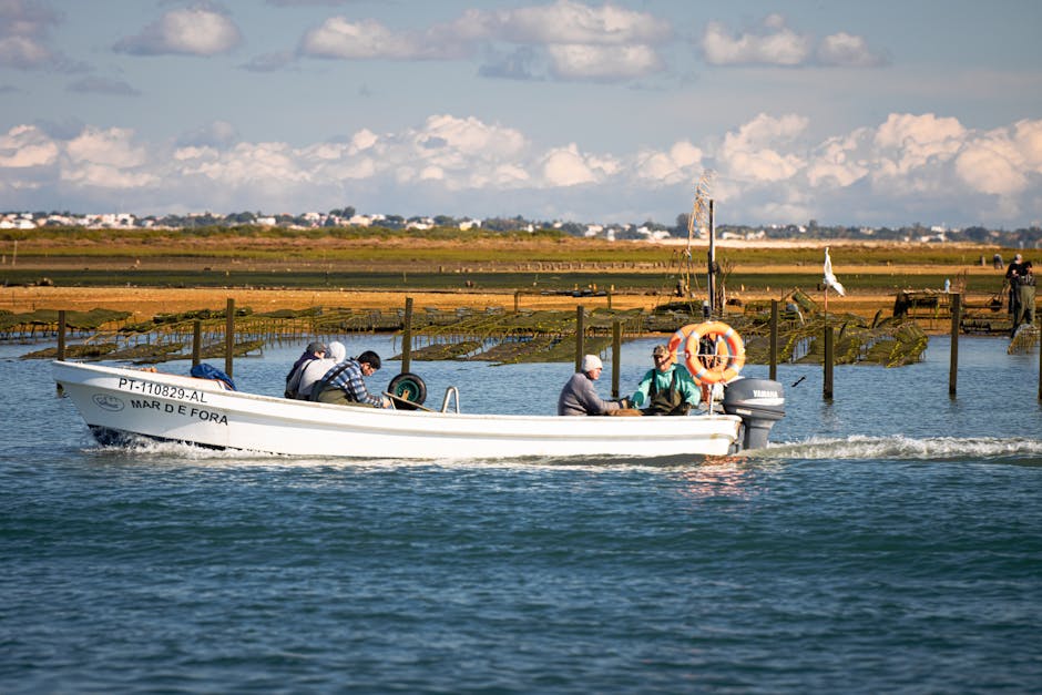 Blick vom Boot auf die Ria Formosa bei Faro