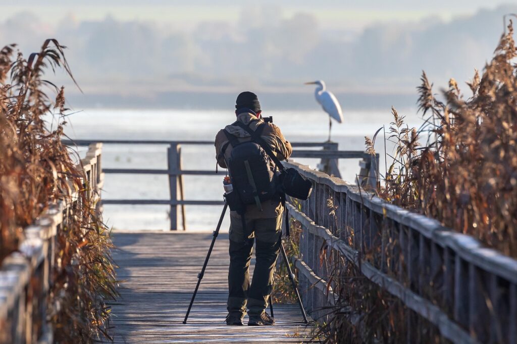 Ria Formosa — kładka nad laguną i ptaki