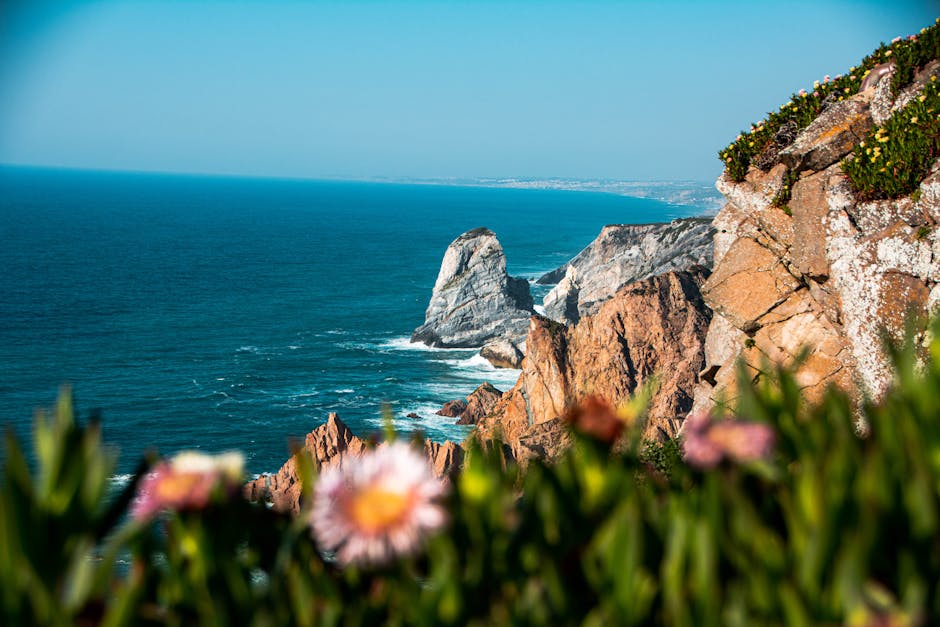 Küstenpfad an der Costa Vicentina mit Wildblumen