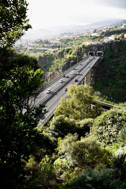 Familie fährt eine malerische Straße im Tal auf Madeira