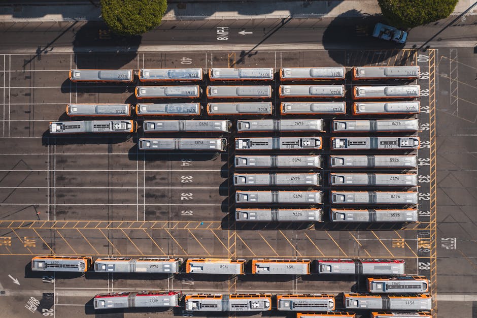 Funchal bus terminal with buses parked at sunrise