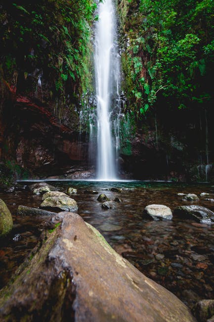 Levada dos 25 Fontes mit Wasserfall und moosgrünem Pfad