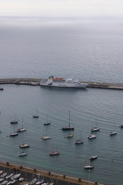 Blick auf den Hafen von Madeira mit Fähre