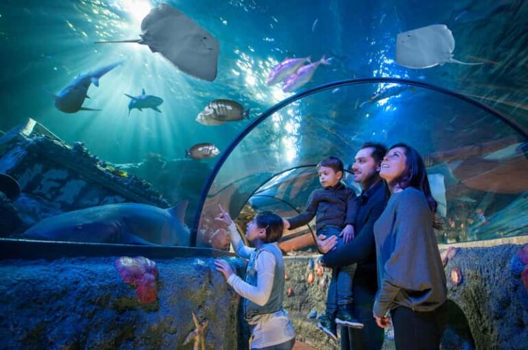 Gardaland SEA LIFE — lehrreiches Aquarium