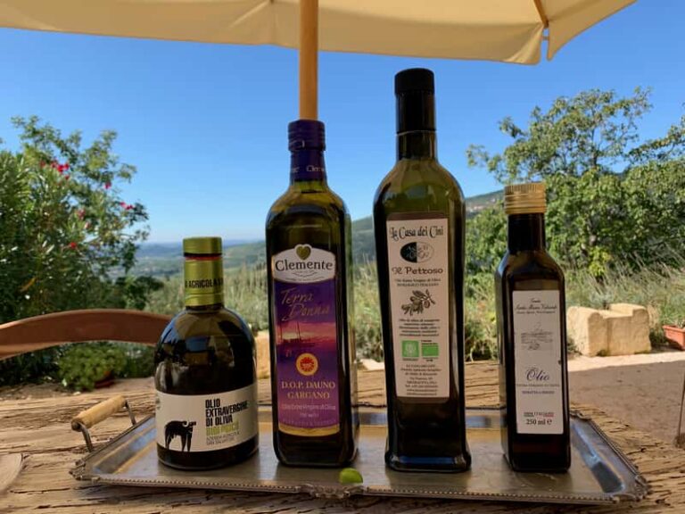 Besuch einer Olivenplantage in Valpolicella