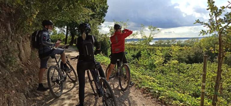 Vélo électrique et dégustation à Bardolino