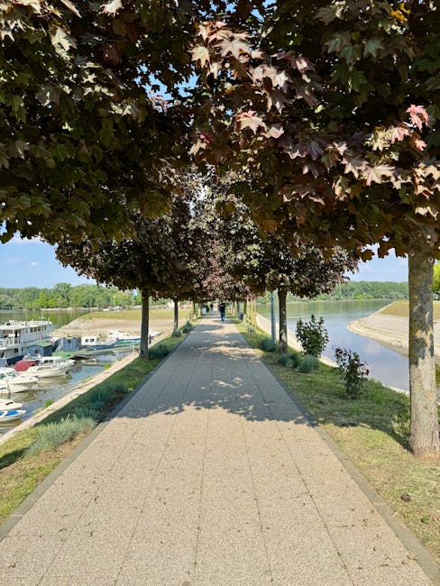 Nabrzeże rzeki Adygi z mariną i alejką drzew