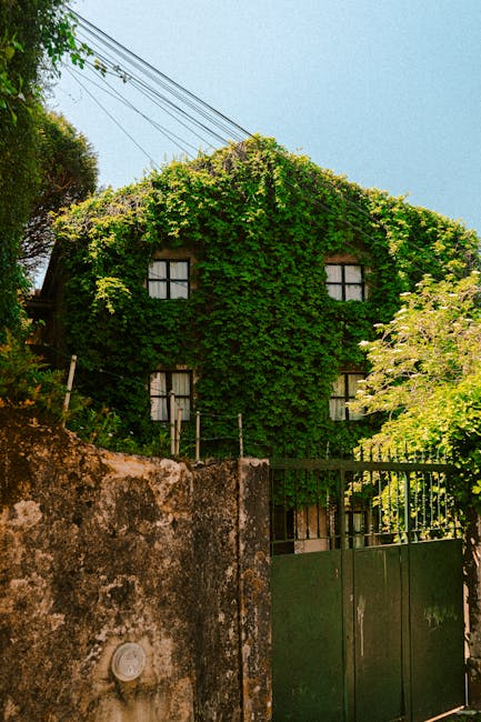 Rustikales Landhaus mit Patio, Holztisch und Weinreben in der Umgebung von Sintra