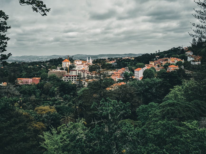 Luchtfoto van Sintra: groene heuvels en nevelig bos