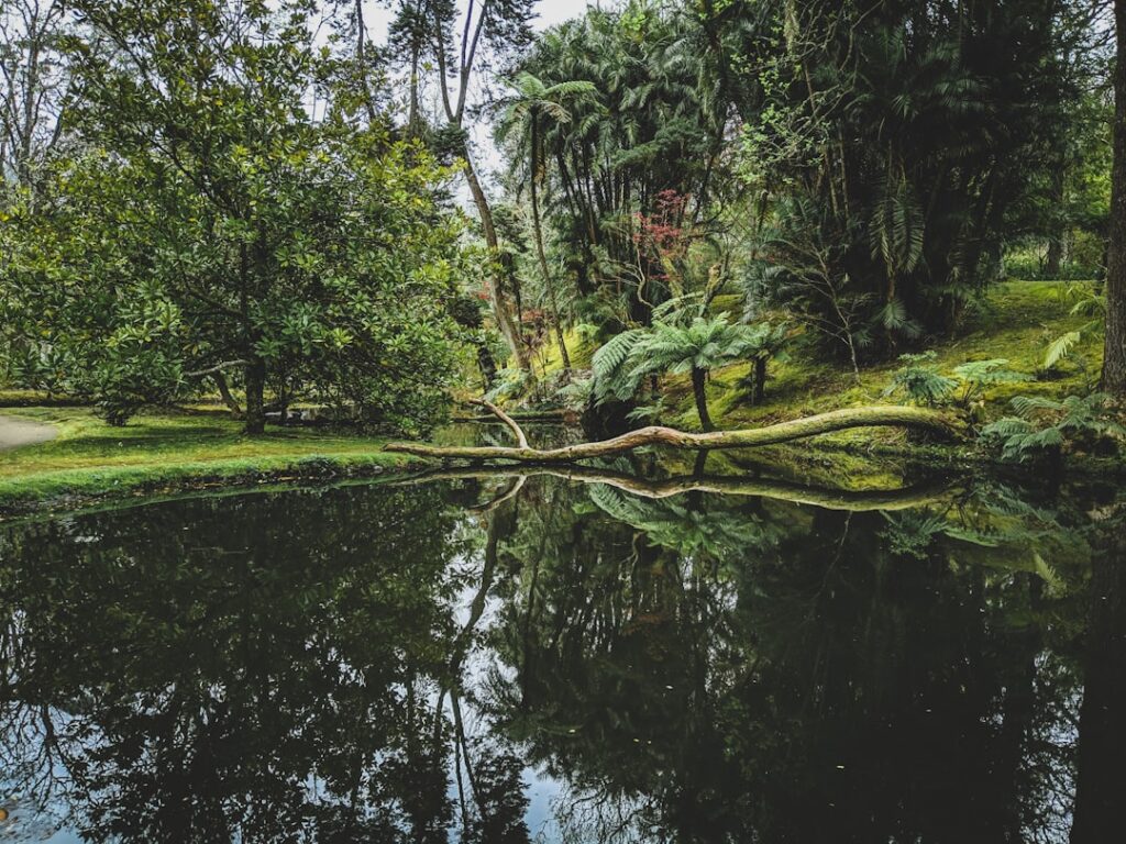 Palácio de Monserrate mit gotischen Bögen und Gartenanlage am See