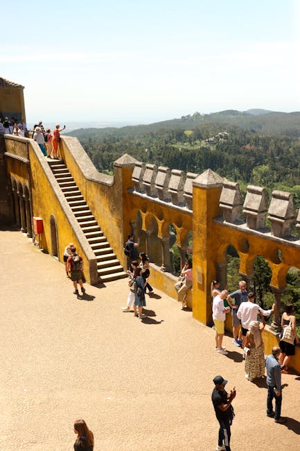 Panoramablick von der Pena-Terrasse in den Wald