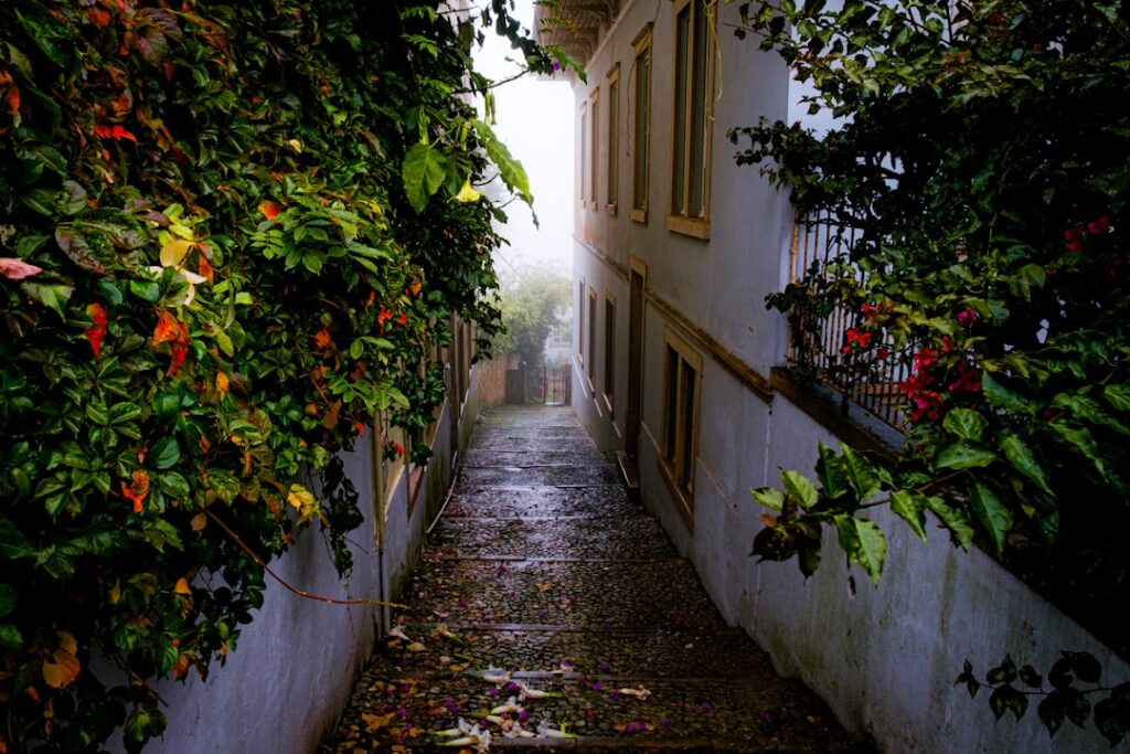 Enge Kopfsteinpflastergasse in Sintra bei Abendbeleuchtung