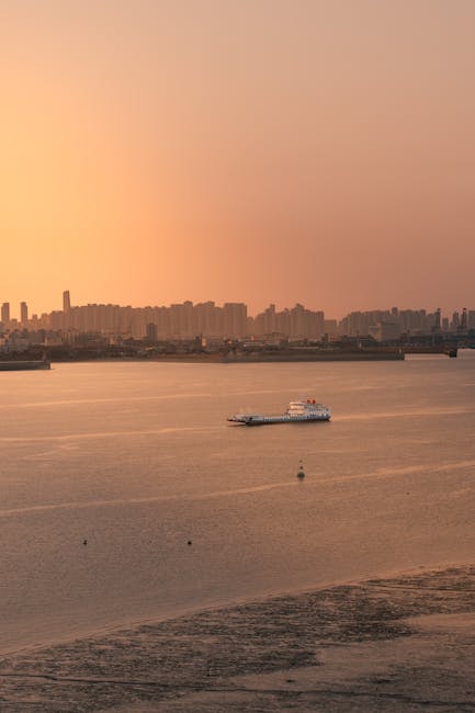 Boat cruising on the Mondego river at sunset with the city skyline