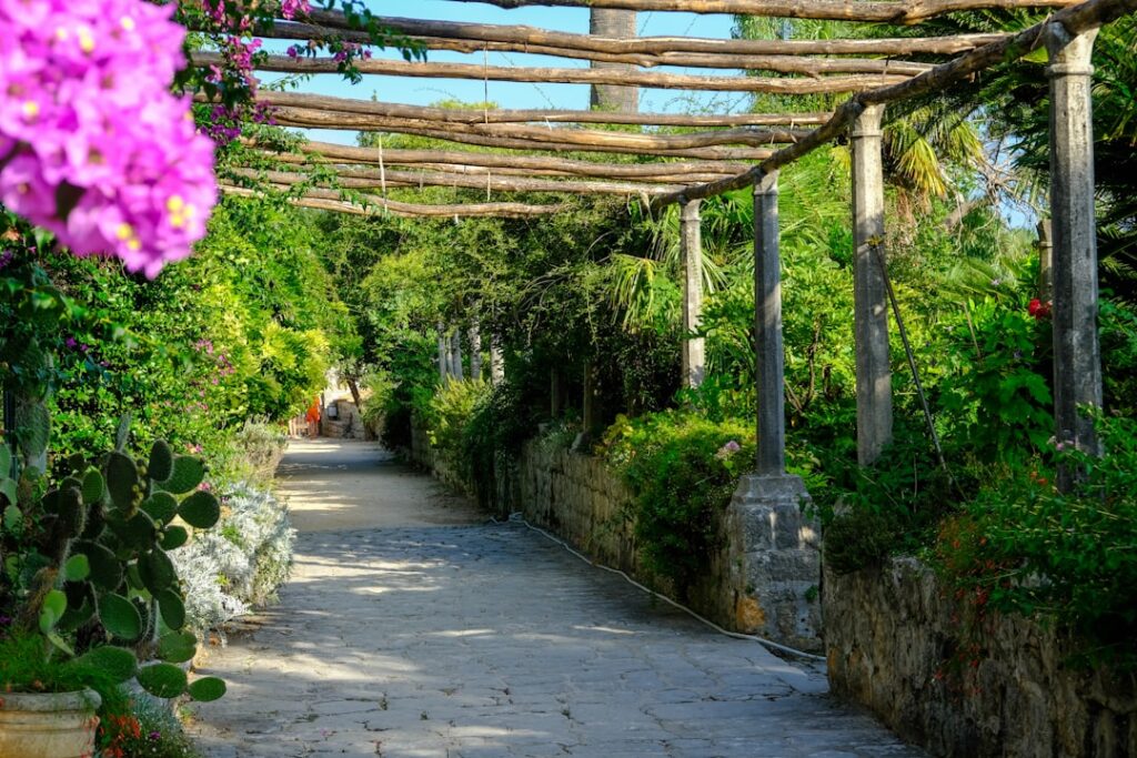 Shaded pathway and Mediterranean plants in the botanical garden
