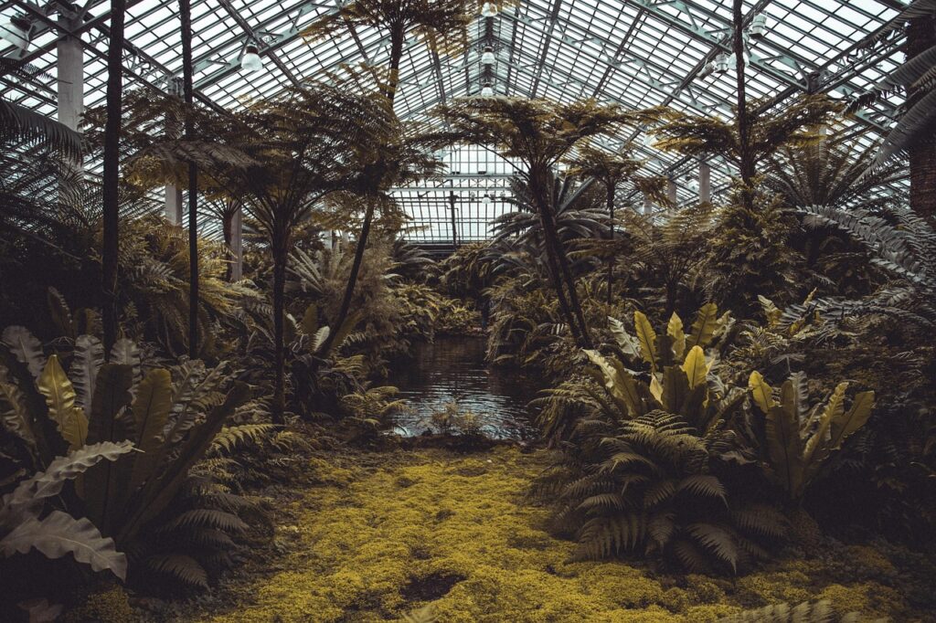 Greenhouse and exotic plants at the University Botanical Garden