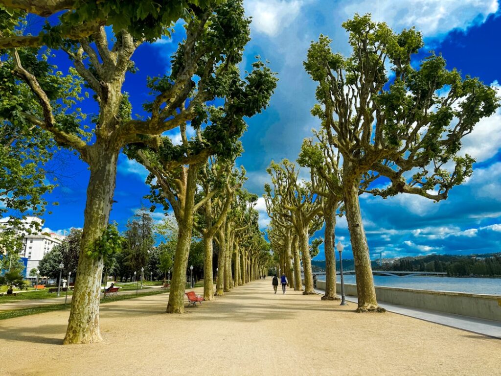 Rivierpromenade langs de Mondego bij avond in Coimbra