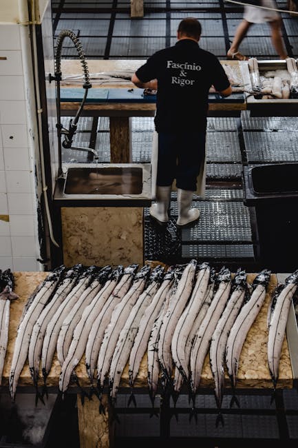 Stalls at Coimbra municipal market with fresh fish and vegetables