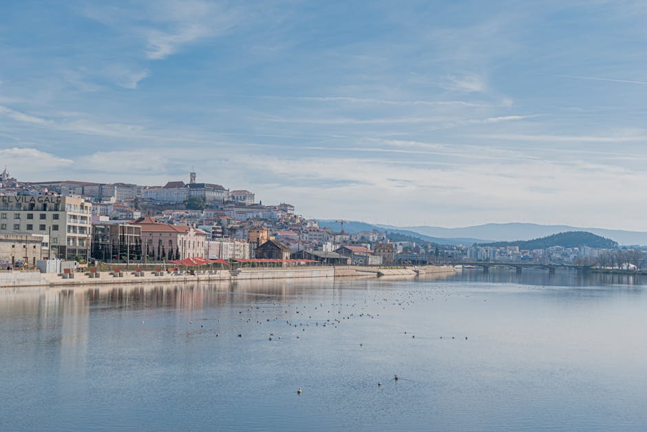 Bureau voor consumentenbescherming in Coimbra