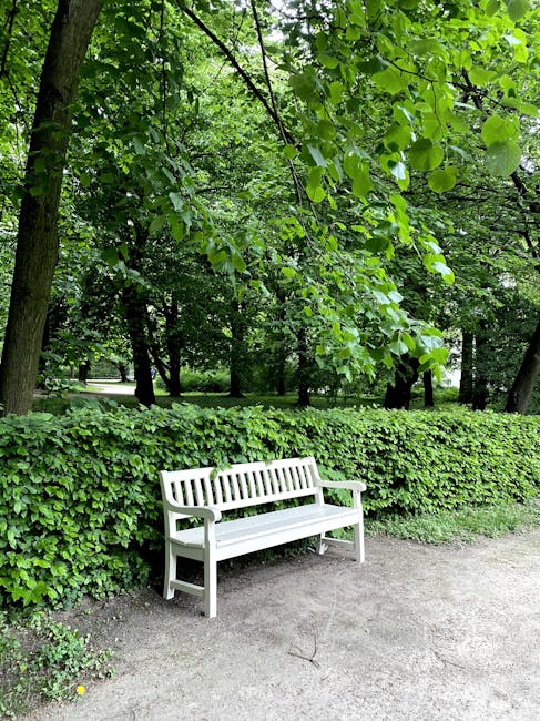 Ławka w parku na Mokotowie wieczorem