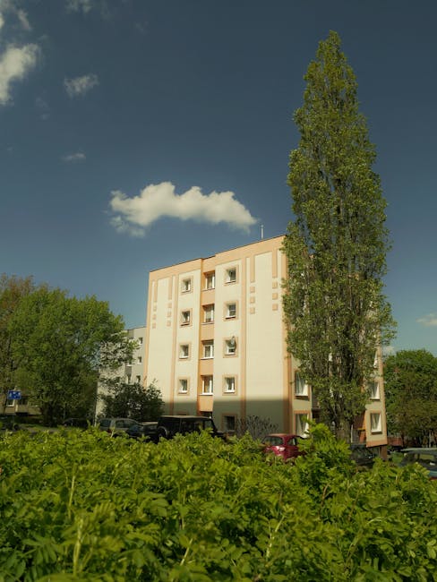 Aleja z drzewami w Mokotowie