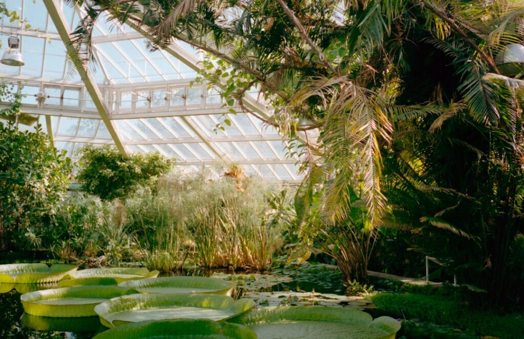 Gewächshaus mit vielfältigen Pflanzen im Botanischen Garten