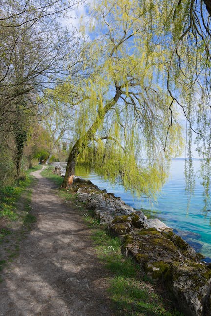 ruhiger Spazierweg am Genfersee mit Spiegelungen im Wasser