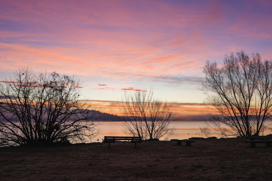 Bank am Seeufer bei Sonnenaufgang mit ruhiger Aussicht