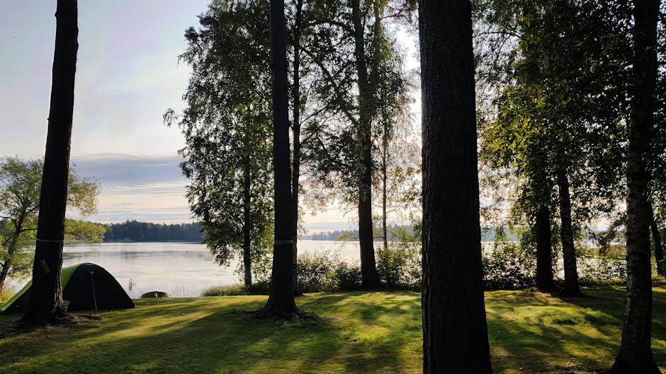 Camping bij het Zürichmeer met tenten en pijnbomen