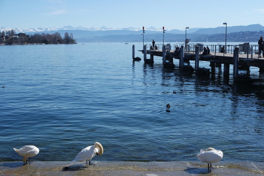 Lakeside promenade with cafés and swans at Bürkliplatz